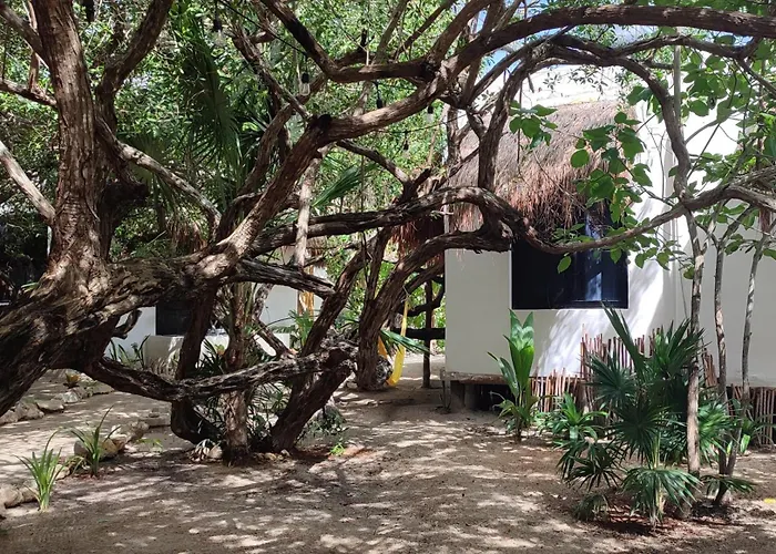 Valentina Holbox By Las Flores Vacation Rentals